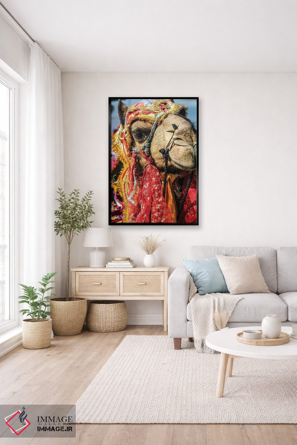 تابلو دکوراتیو Rajasthan, India. India decorated Camel, Diwali Festival of… اثر جولی سیندا - D3B