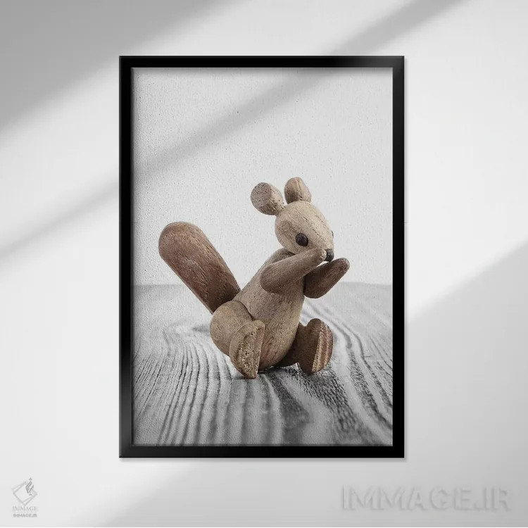 تابلو دکوراتیو سنجاب زولاین اثر استودیو سنت اند سیلور - نمای قابدار مشکی