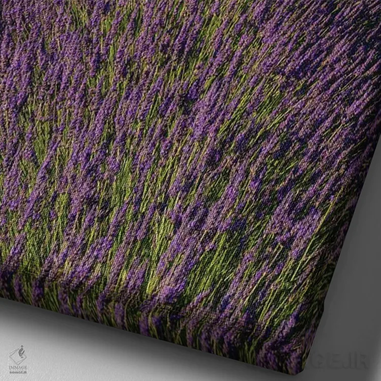 تابلو دکوراتیو In Bloom. Sault, Provence, France.,مزرعه ای از اسطوخودوس… اثر سرجیو پیتامیتز - نمای نزدیک بافت بوم