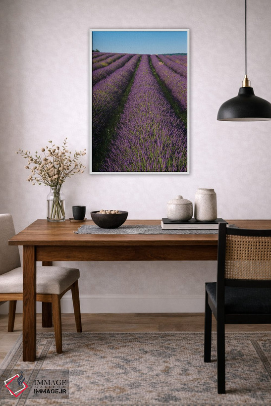 تابلو دکوراتیو In Bloom. Sault, Provence, France.,مزرعه ای از اسطوخودوس… اثر سرجیو پیتامیتز - D4W