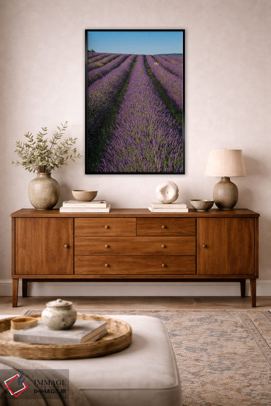 تابلو دکوراتیو In Bloom. Sault, Provence, France.,مزرعه ای از اسطوخودوس… اثر سرجیو پیتامیتز - D5B