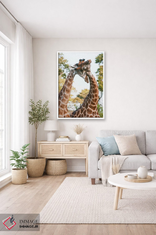 تابلو دکوراتیو Giraffa Camelopardalis, Sparring. Mala Mala Game Reserve… اثر سرجیو پیتامیتز - D3W