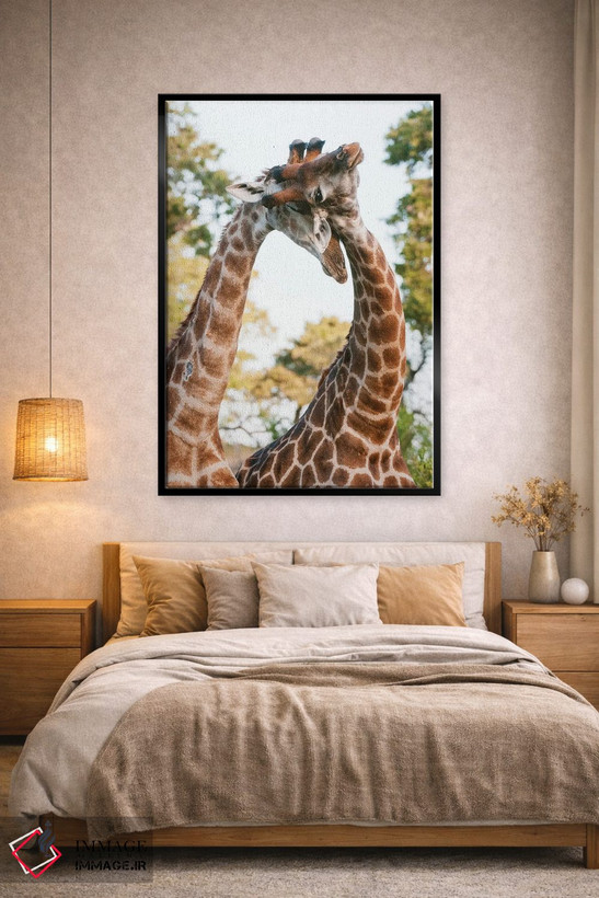 تابلو دکوراتیو Giraffa Camelopardalis, Sparring. Mala Mala Game Reserve… اثر سرجیو پیتامیتز - D2B