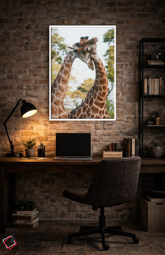 تابلو دکوراتیو Giraffa Camelopardalis, Sparring. Mala Mala Game Reserve… اثر سرجیو پیتامیتز - D4W