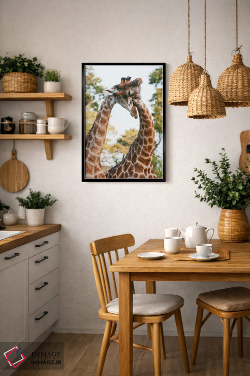 تابلو دکوراتیو Giraffa Camelopardalis, Sparring. Mala Mala Game Reserve… اثر سرجیو پیتامیتز - D6B