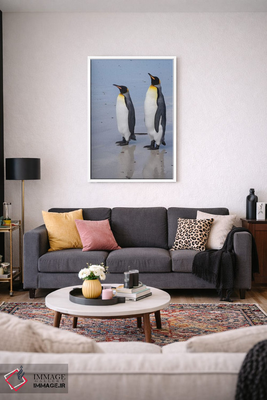 تابلو دکوراتیو Aptenodytes patagonica, on a white sandy beach.,پرتره دو… اثر سرجیو پیتامیتز - D3W