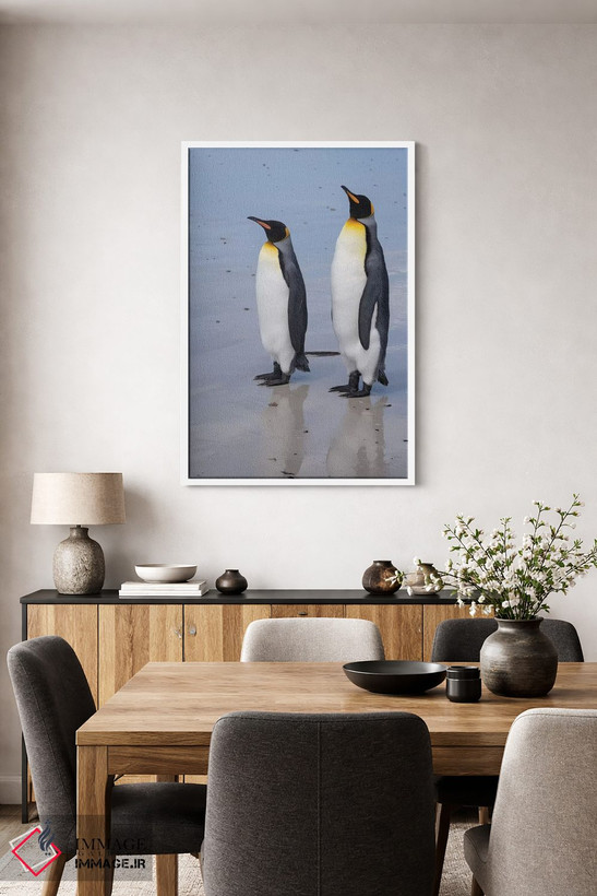 تابلو دکوراتیو Aptenodytes patagonica, on a white sandy beach.,پرتره دو… اثر سرجیو پیتامیتز - D4W