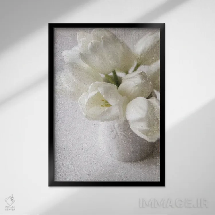تابلو دکوراتیو نابودی در سفیدپوشی زیبا اثر سارا گاردنر - نمای قابدار مشکی
