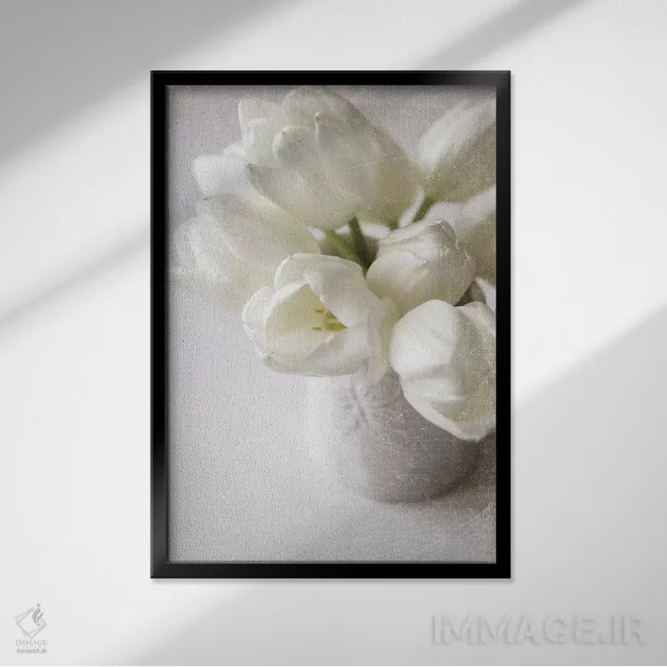 تابلو دکوراتیو نابودی در سفیدپوشی زیبا اثر سارا گاردنر - نمای قابدار مشکی