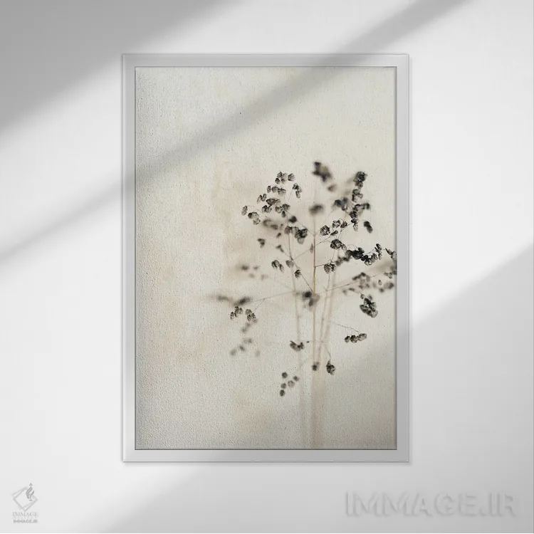 تابلو دکوراتیو شاخه خشک و کم رنگ اثر سارا گاردنر - نمای قابدار سفید