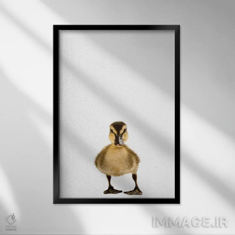 تابلو دکوراتیو جوجه اردک گردن سبز II اثر جوئل سارتور - نمای قابدار مشکی