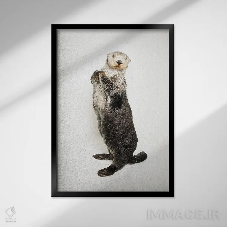تابلو دکوراتیو At The Aquarium Of The Pacific II,سمور دریایی جنوبی به نام… اثر جوئل سارتور - نمای قابدار مشکی