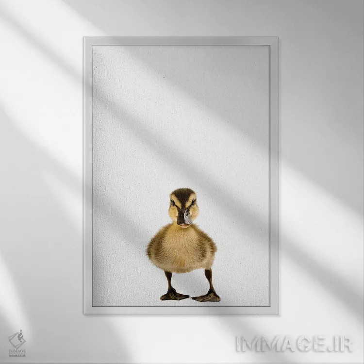 تابلو دکوراتیو جوجه اردک گردن سبز II اثر جوئل سارتور - نمای قابدار سفید