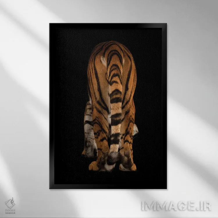 تابلو دکوراتیو ببر مالایی در خطر انقراض در باغ وحش و آکواریوم هنری دورلی ا… اثر جوئل سارتور - نمای قابدار مشکی