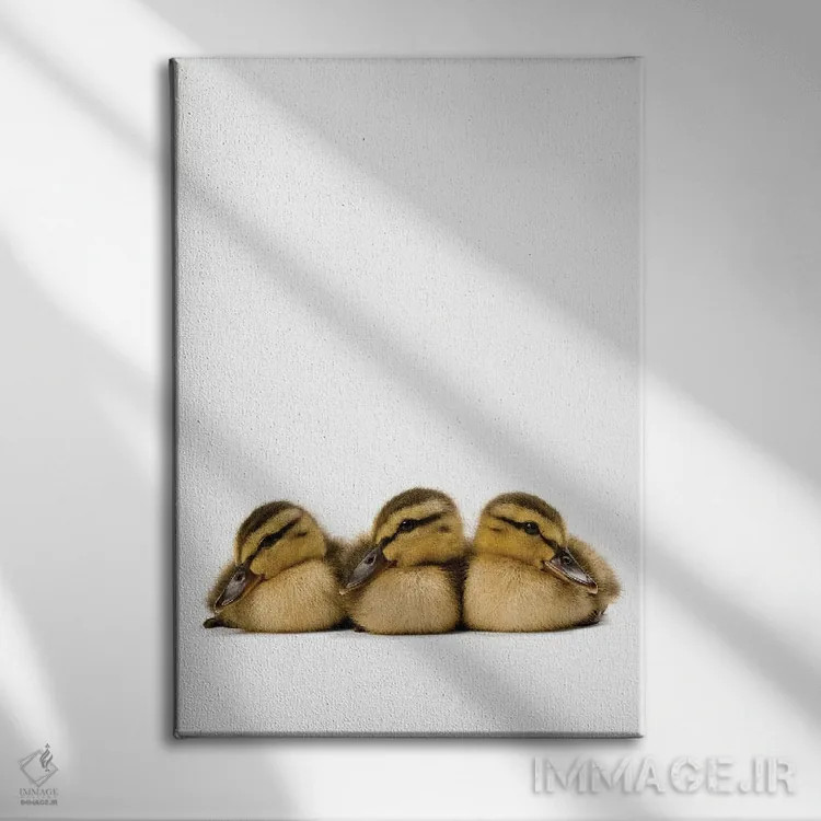 تابلو دکوراتیو سه جوجه اردک سبز گردن اثر جوئل سارتور - نمای روبهرو روی دیوار
