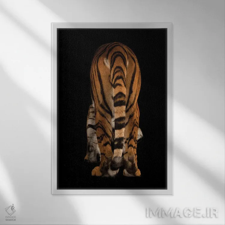 تابلو دکوراتیو ببر مالایی در خطر انقراض در باغ وحش و آکواریوم هنری دورلی ا… اثر جوئل سارتور - نمای قابدار سفید