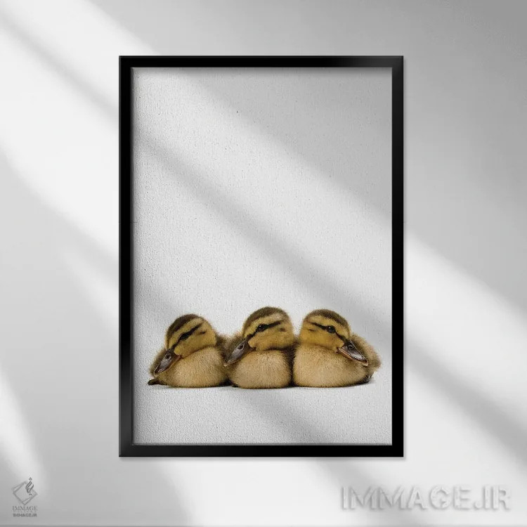 تابلو دکوراتیو سه جوجه اردک سبز گردن اثر جوئل سارتور - نمای قابدار مشکی