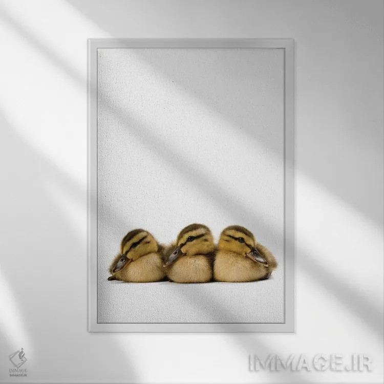 تابلو دکوراتیو سه جوجه اردک سبز گردن اثر جوئل سارتور - نمای قابدار سفید