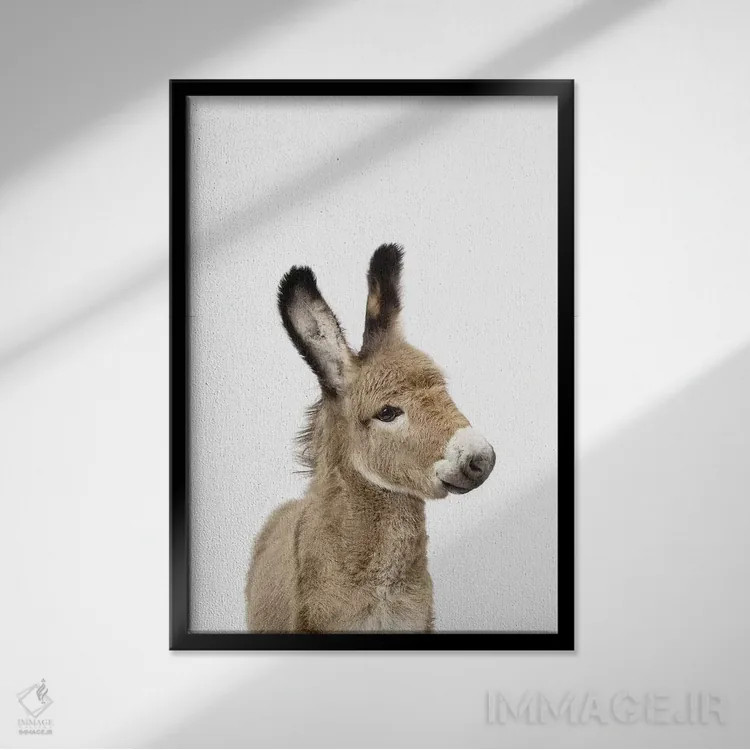 تابلو دکوراتیو کره خر اثر سیسی و سب - نمای قابدار مشکی