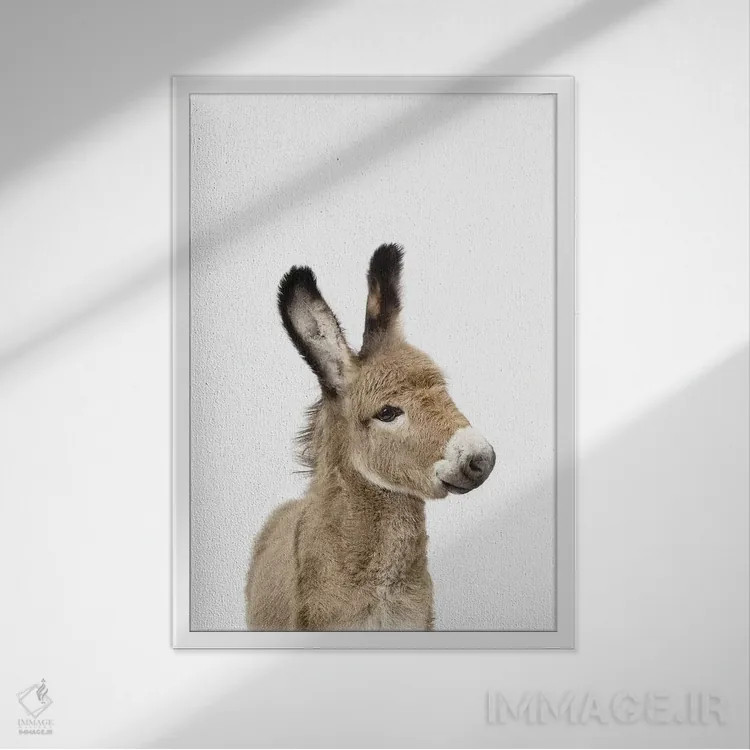 تابلو دکوراتیو کره خر اثر سیسی و سب - نمای قابدار سفید
