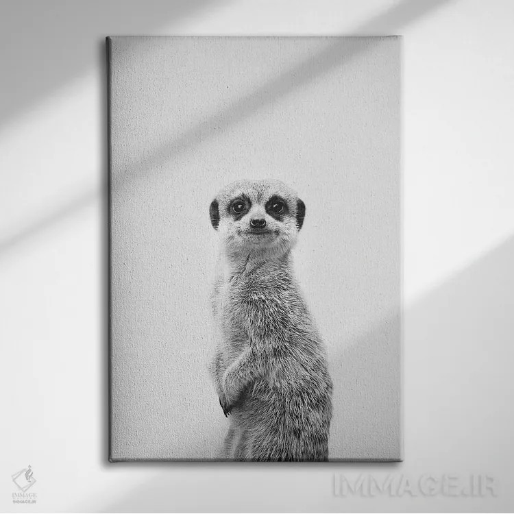 تابلو دکوراتیو میرکات اثر سیسی و سب - نمای روبهرو روی دیوار