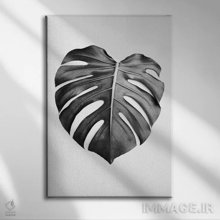 تابلو مینیمال برگ مانسترا در سیاه و سفید اثر سیسی و سب - نمای روبهرو روی دیوار