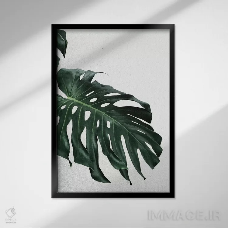 تابلو دکوراتیو برگ مانسترا I اثر سیسی و سب - نمای قابدار مشکی