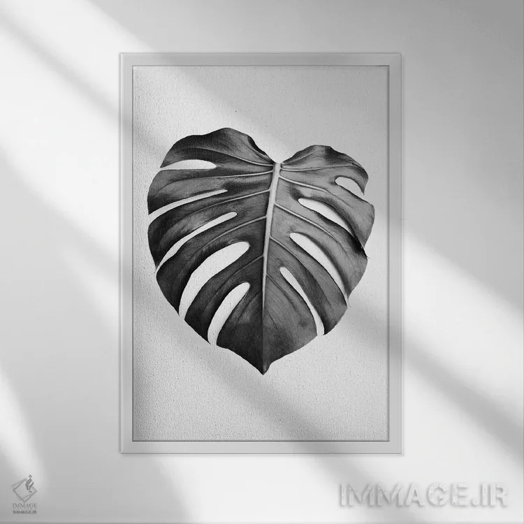 تابلو مینیمال برگ مانسترا در سیاه و سفید اثر سیسی و سب - نمای قابدار سفید
