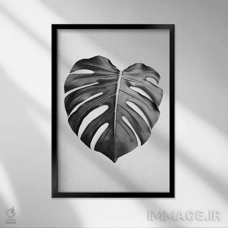 تابلو مینیمال برگ مانسترا در سیاه و سفید اثر سیسی و سب - نمای قابدار مشکی