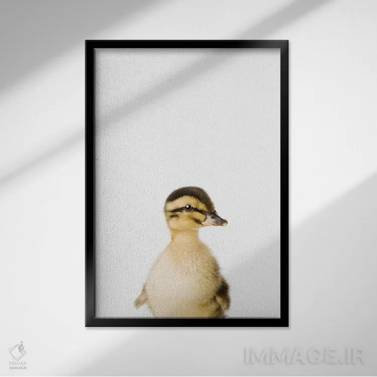 تابلو دکوراتیو جوجه اردک اثر سیسی و سب - نمای قابدار مشکی