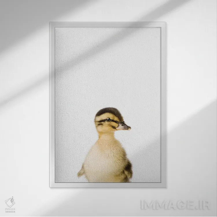 تابلو دکوراتیو جوجه اردک اثر سیسی و سب - نمای قابدار سفید