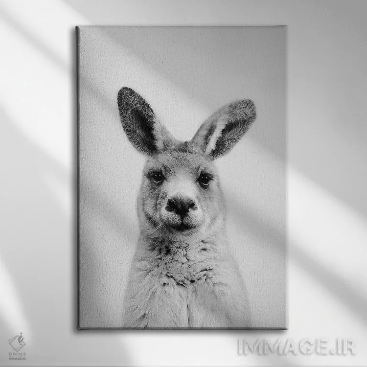تابلو دکوراتیو آقای کانگورو اثر سیسی و سب - نمای روبهرو روی دیوار