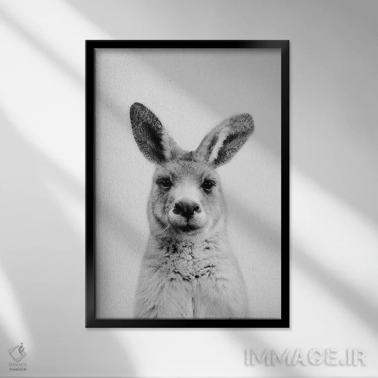 تابلو دکوراتیو آقای کانگورو اثر سیسی و سب - نمای قابدار مشکی