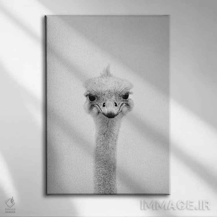 تابلو دکوراتیو شترمرغ اثر سیسی و سب - نمای روبهرو روی دیوار