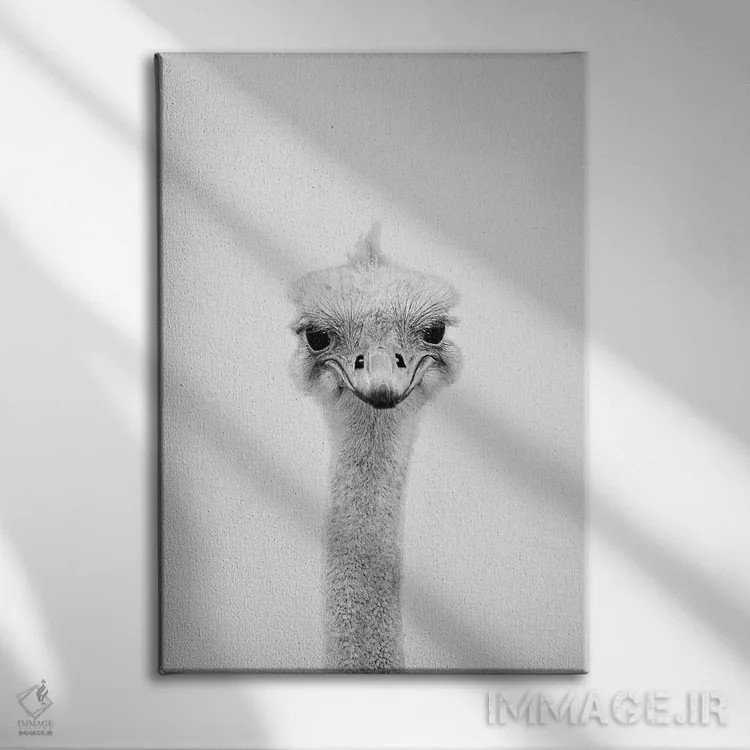 تابلو دکوراتیو شترمرغ اثر سیسی و سب - نمای روبهرو روی دیوار