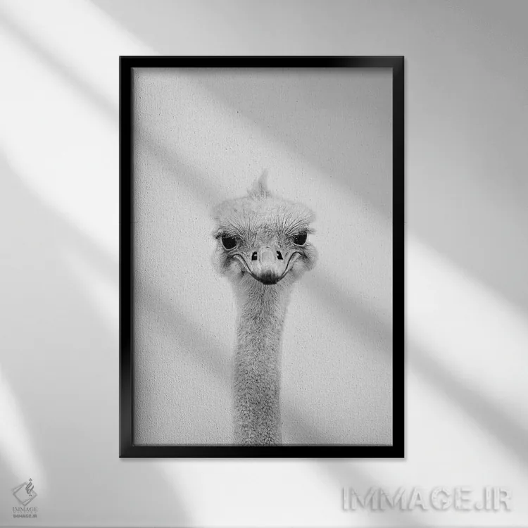 تابلو دکوراتیو شترمرغ اثر سیسی و سب - نمای قابدار مشکی