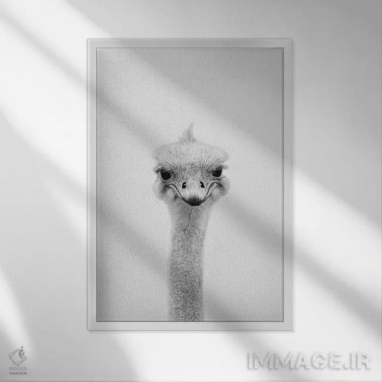 تابلو دکوراتیو شترمرغ اثر سیسی و سب - نمای قابدار سفید