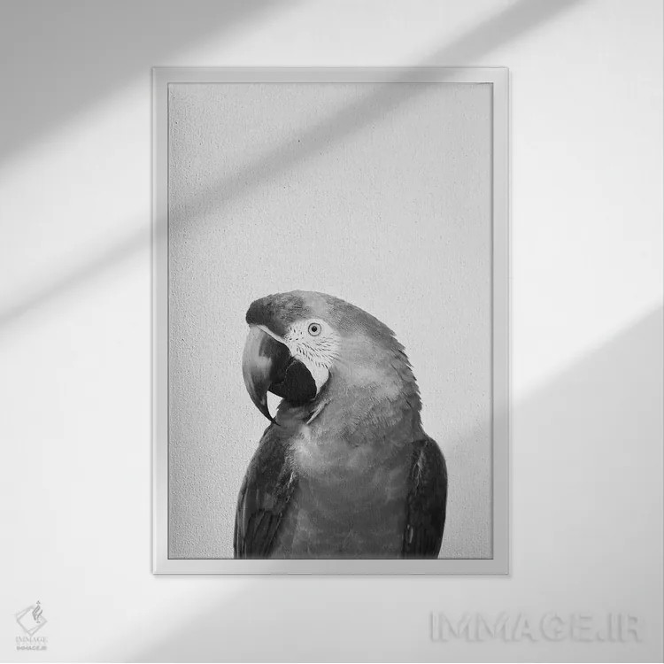 تابلو دکوراتیو طوطی اثر سیسی و سب - نمای قابدار سفید