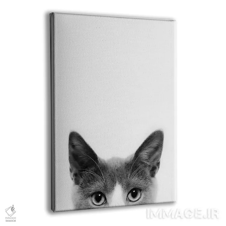 تابلو دکوراتیو گربه قایم باشکی اثر سیسی و سب - نمای پرسپکتیو محصول