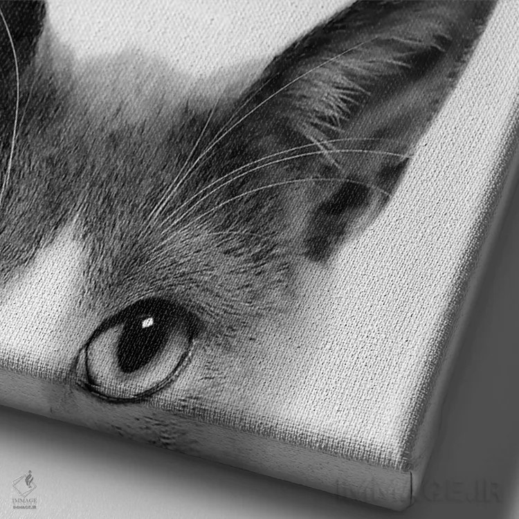 تابلو دکوراتیو گربه قایم باشکی اثر سیسی و سب - نمای نزدیک بافت بوم