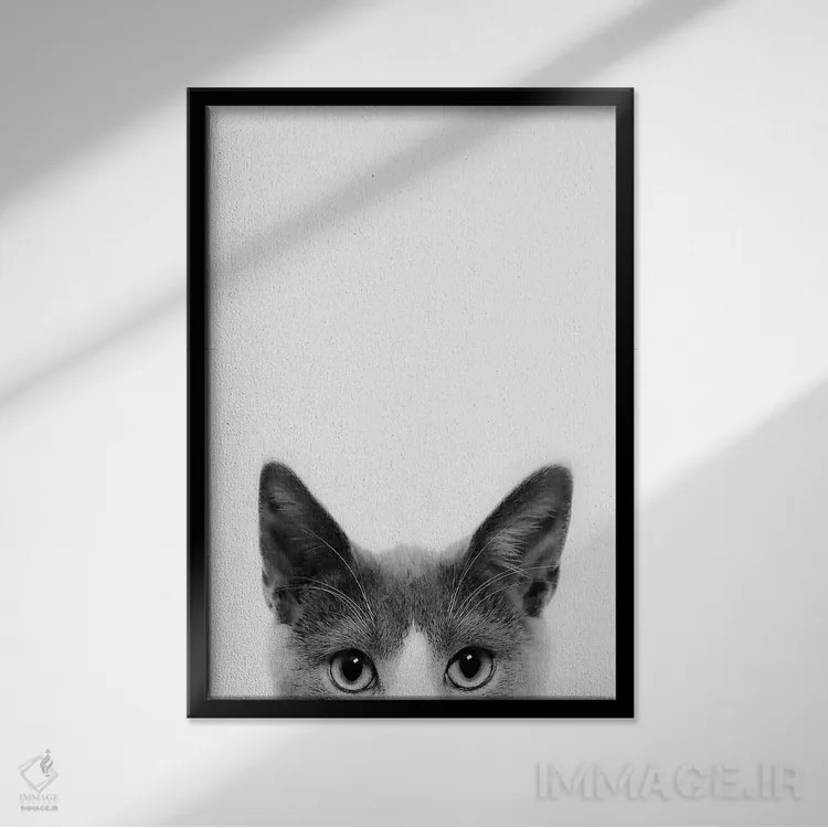 تابلو دکوراتیو گربه قایم باشکی اثر سیسی و سب - نمای قابدار مشکی