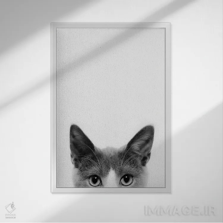 تابلو دکوراتیو گربه قایم باشکی اثر سیسی و سب - نمای قابدار سفید