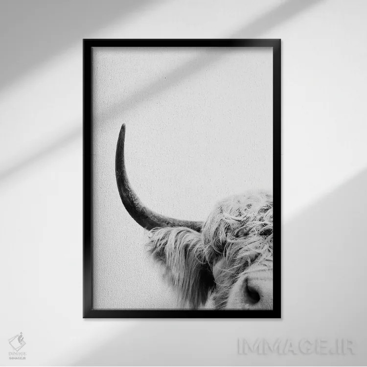 تابلو مدرن گاو در حال سرک کشیدن II اثر سیسی و سب - نمای قابدار مشکی