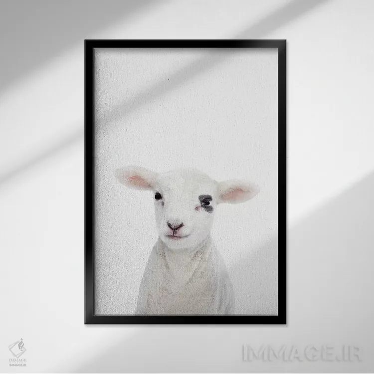 تابلو دکوراتیو بره بچه اثر سیسی و سب - نمای قابدار مشکی