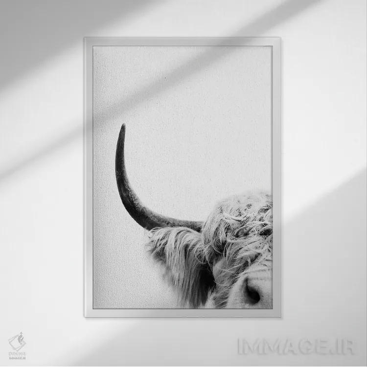 تابلو مدرن گاو در حال سرک کشیدن II اثر سیسی و سب - نمای قابدار سفید