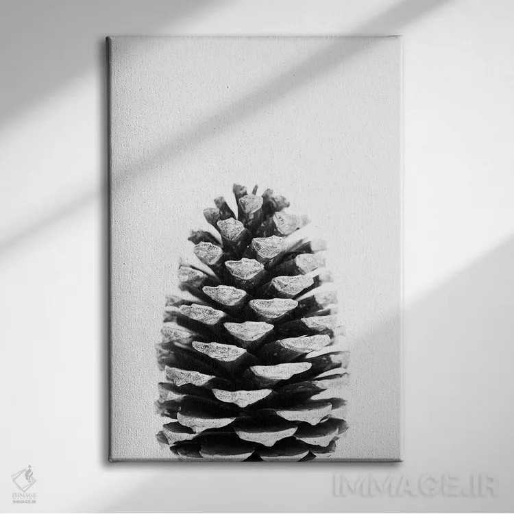 تابلو مینیمال مخروط کاج اثر سیسی و سب - نمای روبهرو روی دیوار