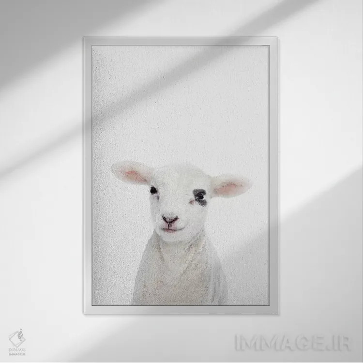 تابلو دکوراتیو بره بچه اثر سیسی و سب - نمای قابدار سفید