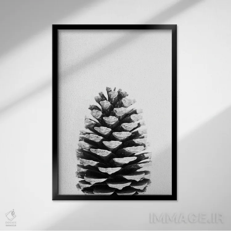 تابلو مینیمال مخروط کاج اثر سیسی و سب - نمای قابدار مشکی