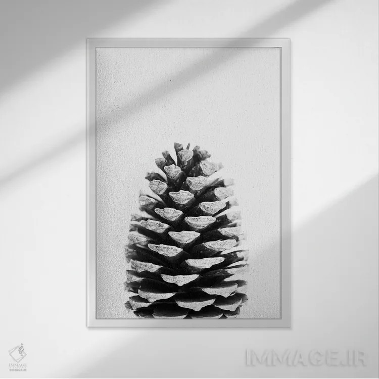 تابلو مینیمال مخروط کاج اثر سیسی و سب - نمای قابدار سفید