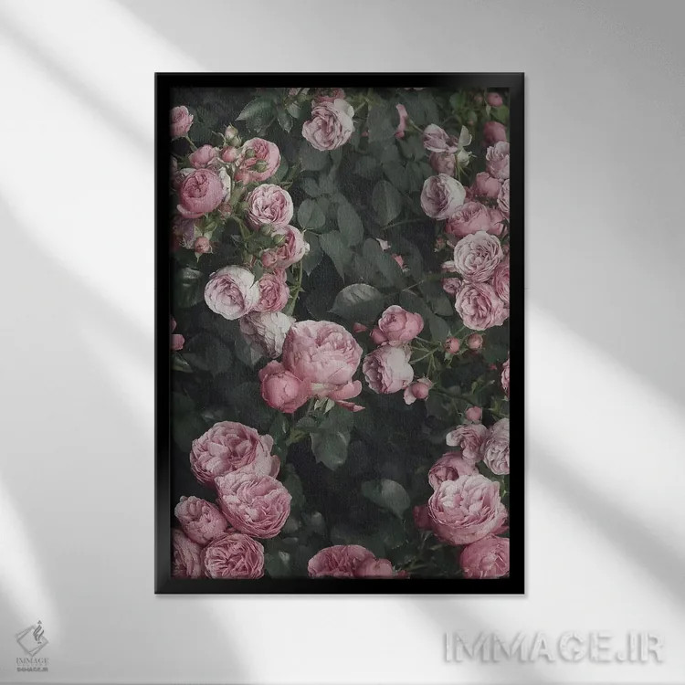تابلو دکوراتیو بوته گل رز صورتی اثر سیسی و سب - نمای قابدار مشکی